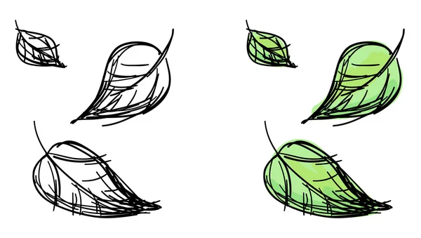 vektör çizimi düşen yaprakları