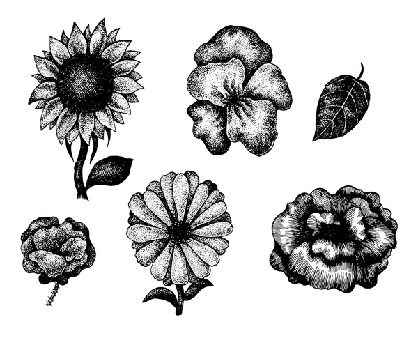 Collezione di fiori disegnati a mano in bianco e nero — Vettoriale Stock