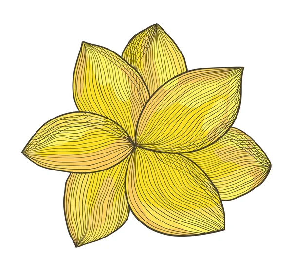 Flor amarilla — Vector de stock