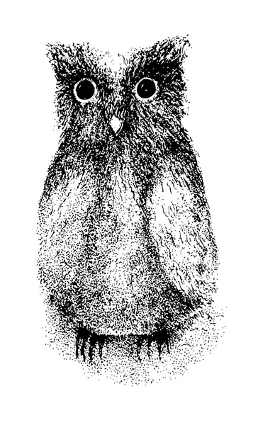 Dessin Owlet — Image vectorielle