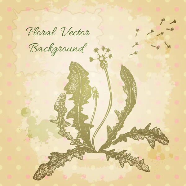 Vector vintage background with a beautiful hand drawn dandelion. — Stock Vector