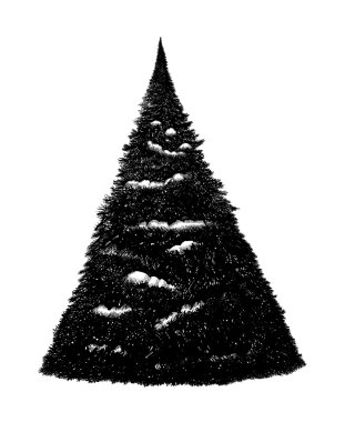 siyah-beyaz elle çizilmiş tablet vektör köknar ağacı