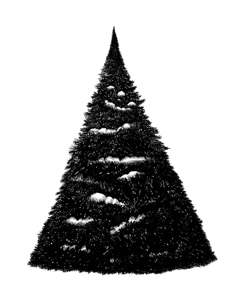 Noir et blanc dessiné à la main sur le sapin vecteur comprimé — Image vectorielle