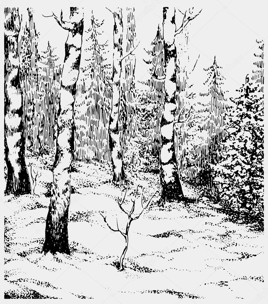 Black and white hand darwn landscape. Vector illustration