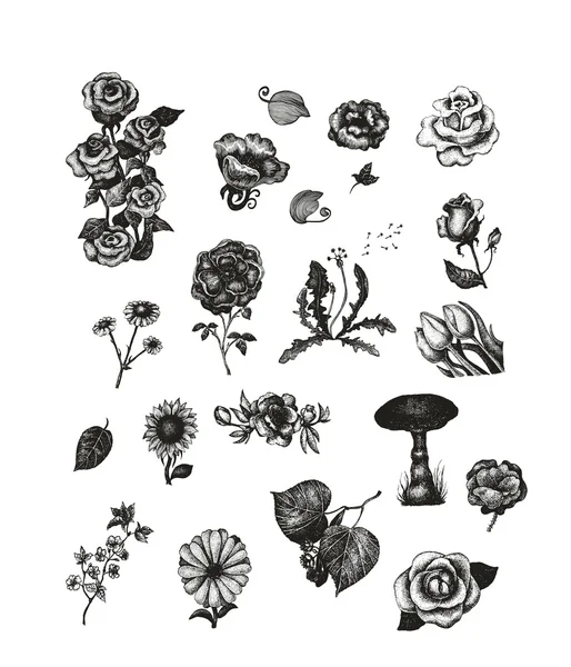 Conjunto vectorial de flores vintage dibujadas a mano para su diseño — Vector de stock