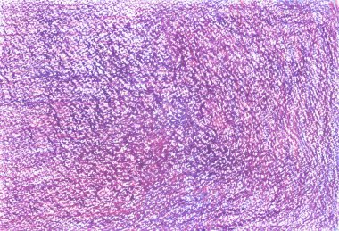 raster arka plan. senin tasarı için renkli pastel dokulu kağıt