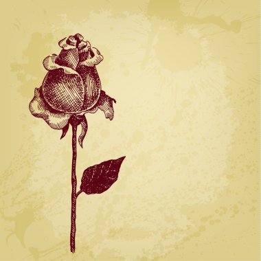 mürekkep stili ile sanatsal vektör kartı gül