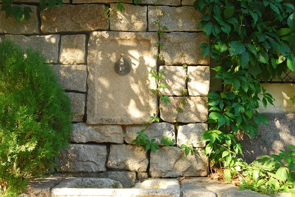 Huis stonewall, kraan, planten — Stockfoto