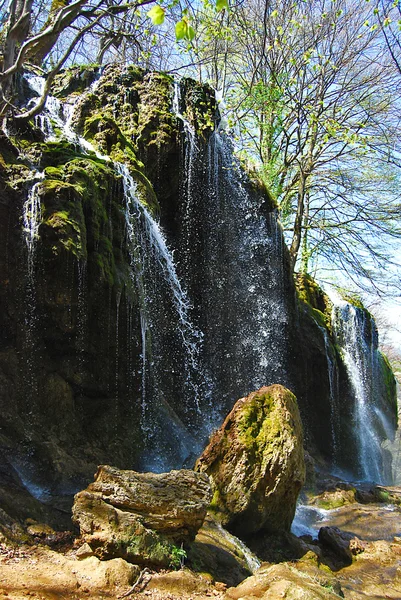 Cascata in primavera — Foto Stock