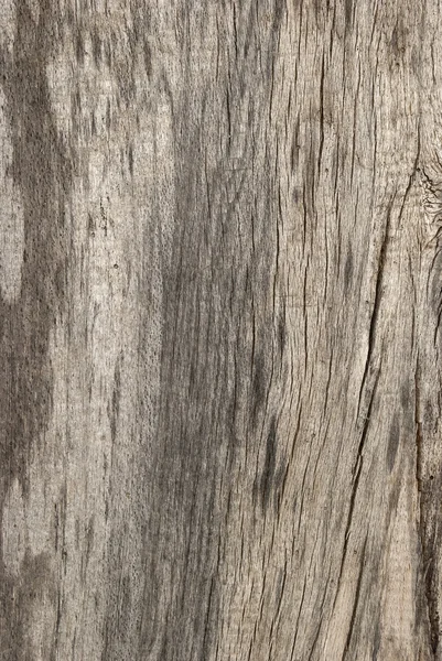 Eski yıpranmış ahşap tahta — Stok fotoğraf