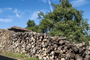 yığılmış meşe odunları