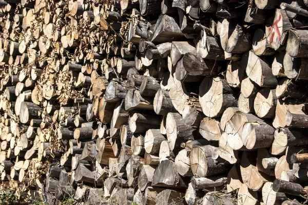 Legna da ardere di quercia impilata — Foto Stock