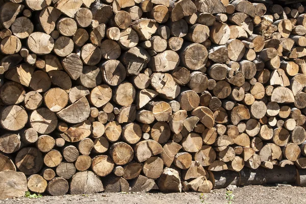 Gestapelde eiken brandhout close-up — Stockfoto