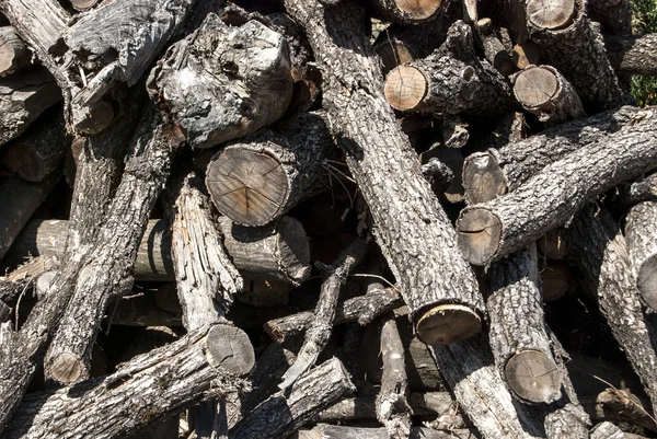 Pile de bois de chauffage sec — Photo