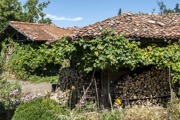 Cortile villaggio rurale e case — Foto Stock