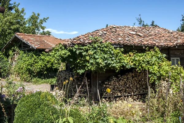 Landelijk dorp werf en huizen — Stockfoto