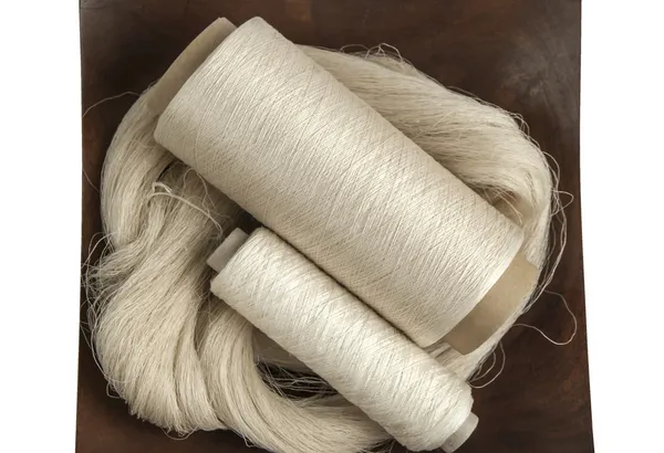 Silk yarn skein and bobbins — Stock Photo, Image