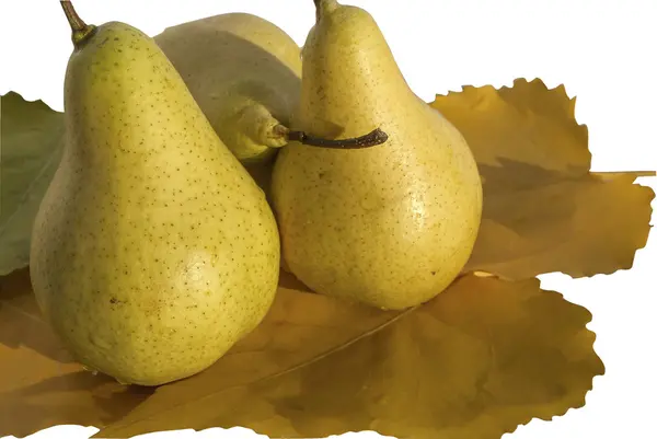 Pears on autumn leaves — Stock Photo, Image