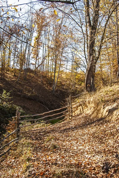 Valla de granja de montaña de madera — Foto de Stock