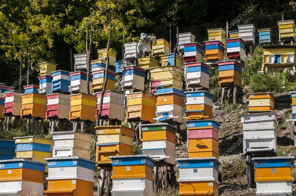 Bienenstocke Am Hang Stockfotografie Lizenzfreie Fotos C Varbenov1 46176541 Depositphotos