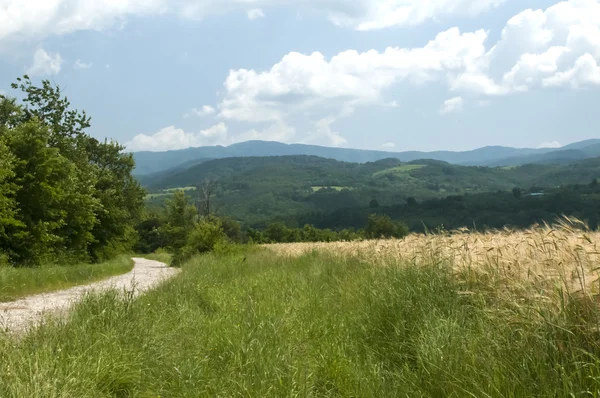 Ländliche Landschaft — Stockfoto