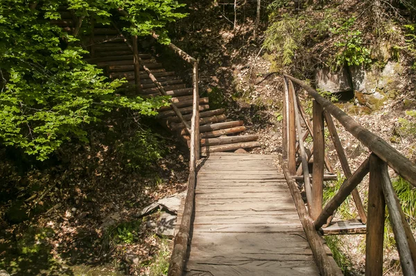Wooden footbridge in mountain — Stock Photo, Image