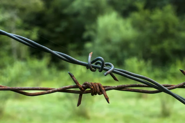 Segment of rusty barbed wire — Stock Photo, Image