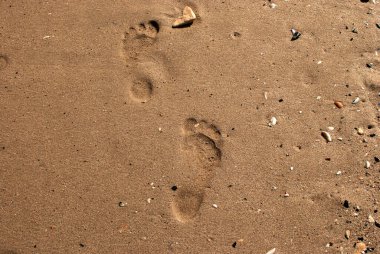 Deniz kumsalının ıslak kumlarında çıplak insan ayağı basamakları