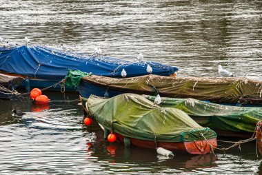 Richmond, Londra 'da Thames Nehri' nin sularındaki düz nehir altı ahşap botlarla kaplıydı.