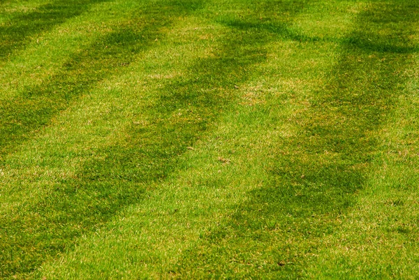 Parallellinien Mähen Gras Park Als Hintergrund — Stockfoto