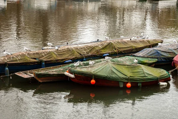 Richmond, Londra 'da Thames Nehri' nin sularındaki düz nehir altı ahşap botlarla kaplıydı.