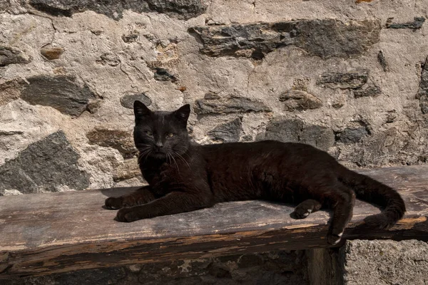 Černá Pouliční Kočka Leží Dřevěné Lavičce — Stock fotografie