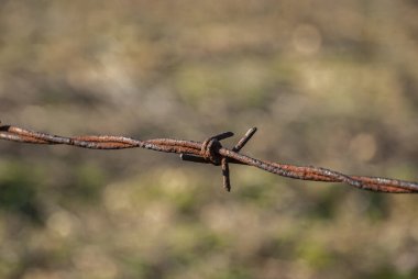 Yıpranmış çelik çelik dikenli tel örgüler dikenli teller yakın plan