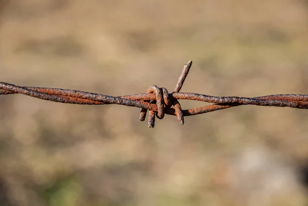 Border Weathered Steel Iron Barbed Wire Fence Barbed Wire Detail — Stock Photo, Image
