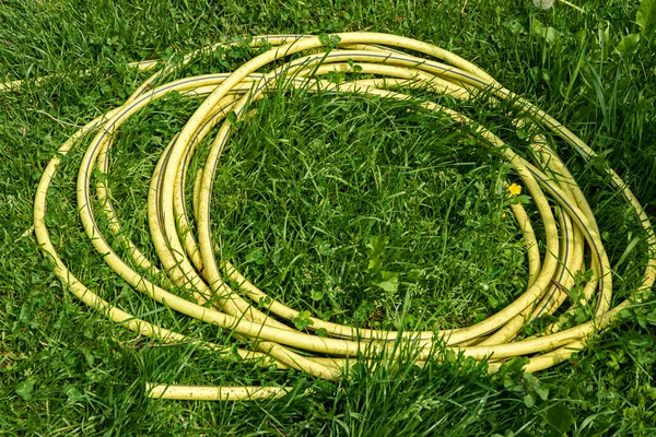 Coiled Garden Rubber Water Hose Grass — Stock Photo, Image