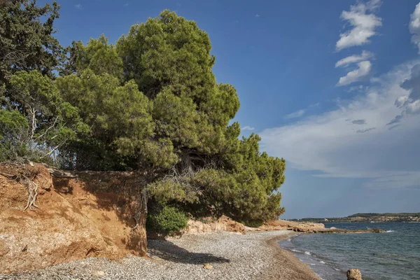 Mediterraneon Playa Guijarros Aguas Tranquilas Mar Paisaje — Foto de Stock