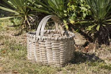 Bahçedeki çayırda eski hasır sepet Güneşli bir günde kapanıyor