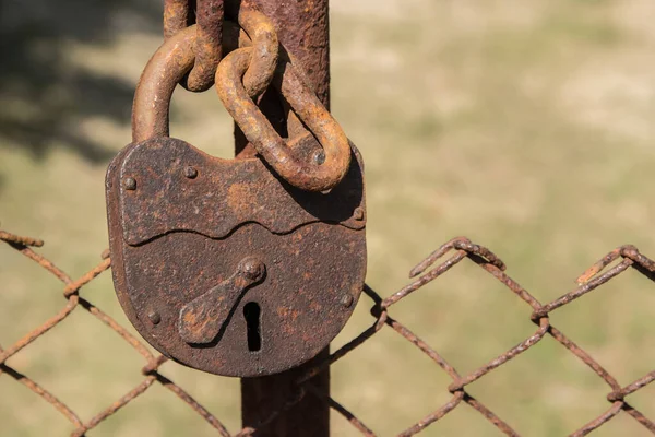 Gamla Rostiga Hänglås Bredvid Tråd Stängsel Dörr Närbild — Stockfoto