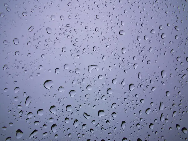 Rain drops on glass — Stock Photo, Image