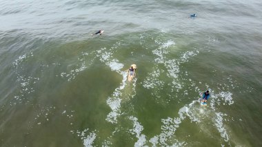 Sörfçüler sakin bir okyanusta sörf tahtasında yelken açarlar..