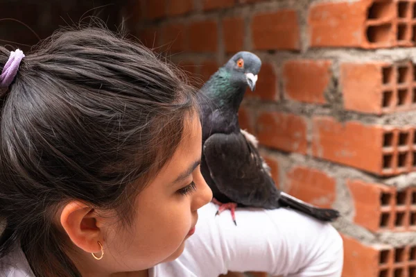 Little girl with her pet pigeon on her shoulder. — Photo