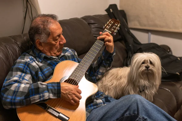 Viejo tocando la guitarra acústica y sentado en un sofá con un perrito blanco. Fotos De Stock