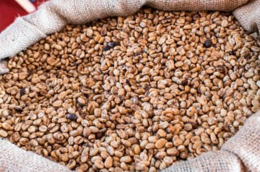 Yeşil, kavrulmamış kahve çuval bezlerinde yatıyor..