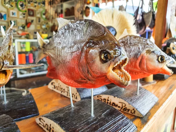 Piranha Trofé Marknaden Satipo Stad Den Peruanska Djungeln — Stockfoto