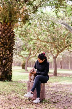 Şirin genç bayan küçük köpeğine sarılıyor. Sahibi ve köpeği arasındaki aşk. Parktaki açık hava fotoğrafı, seçici odaklanma. Yaşam tarzı kavramı