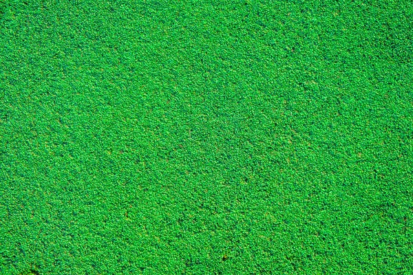 Fondo Verde Brillante Superficie Artificial Campo Deportes Pequeños Elementos Texturales — Foto de Stock