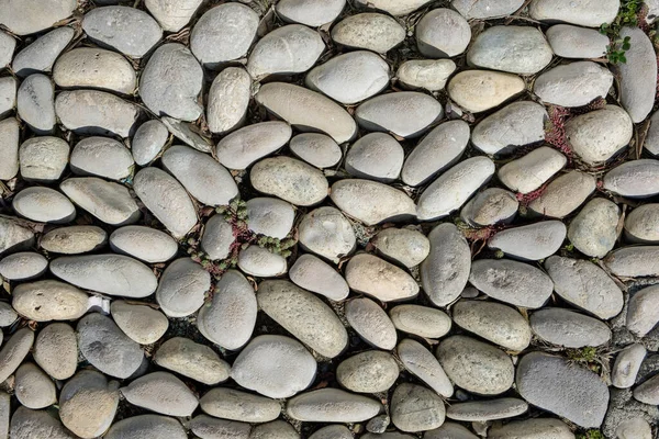 Stone Surface Smooth Stones Decorative Masonry Pebbles Laid Concrete Mortar — Stock Photo, Image