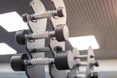 Dikey dambıl rafı. farklı ağırlıklardan bir çift dambıl. alt-üst görünüm