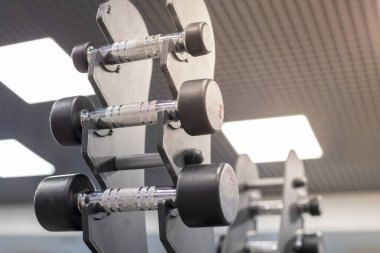 Dikey dambıl rafı. farklı ağırlıklardan bir çift dambıl. alt-üst görünüm