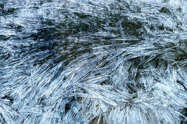 연못에 바늘이요 바늘의 양털의 차가운 천연적 — 스톡 사진